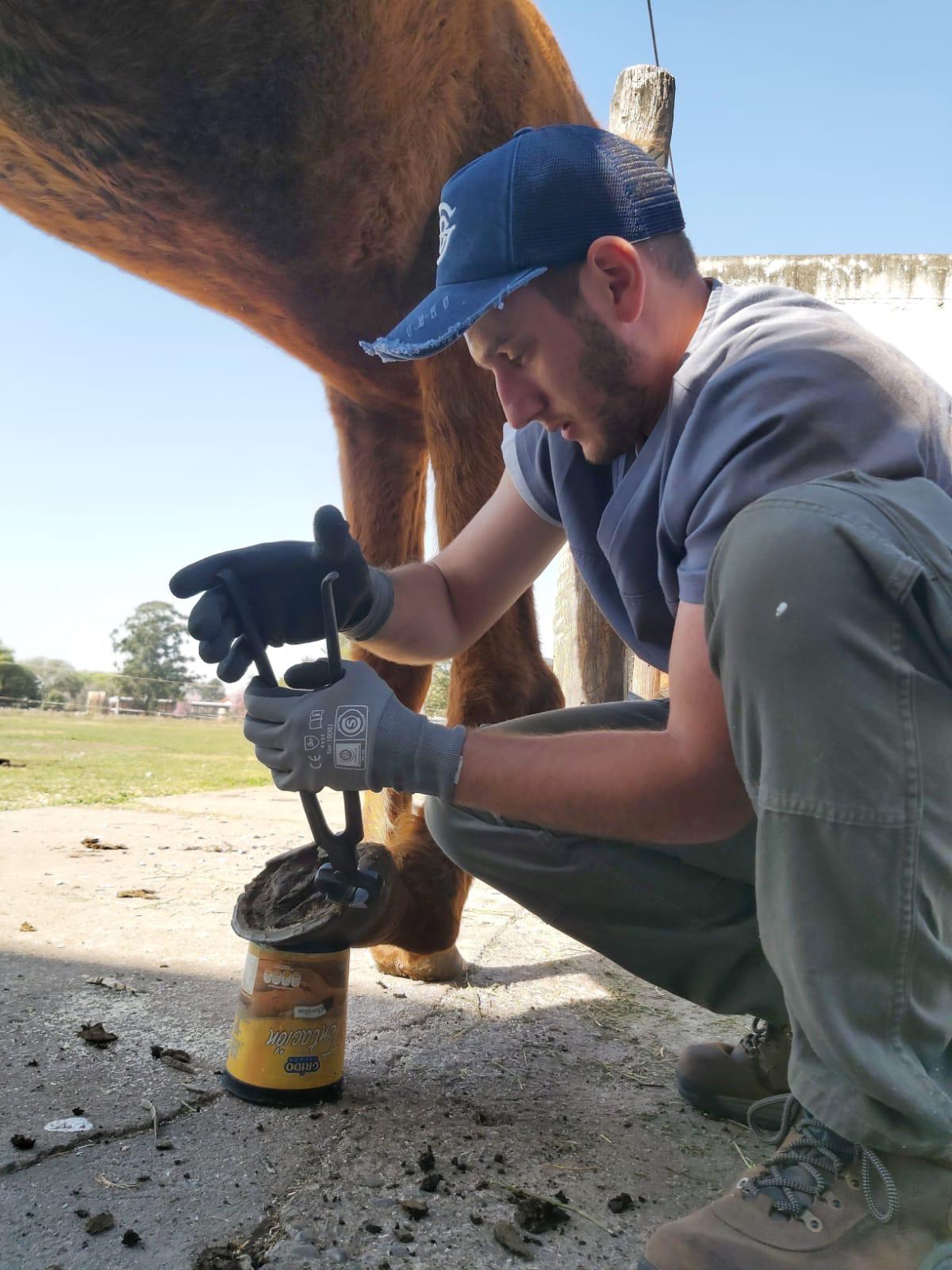 Luis Ezequiel Japaze