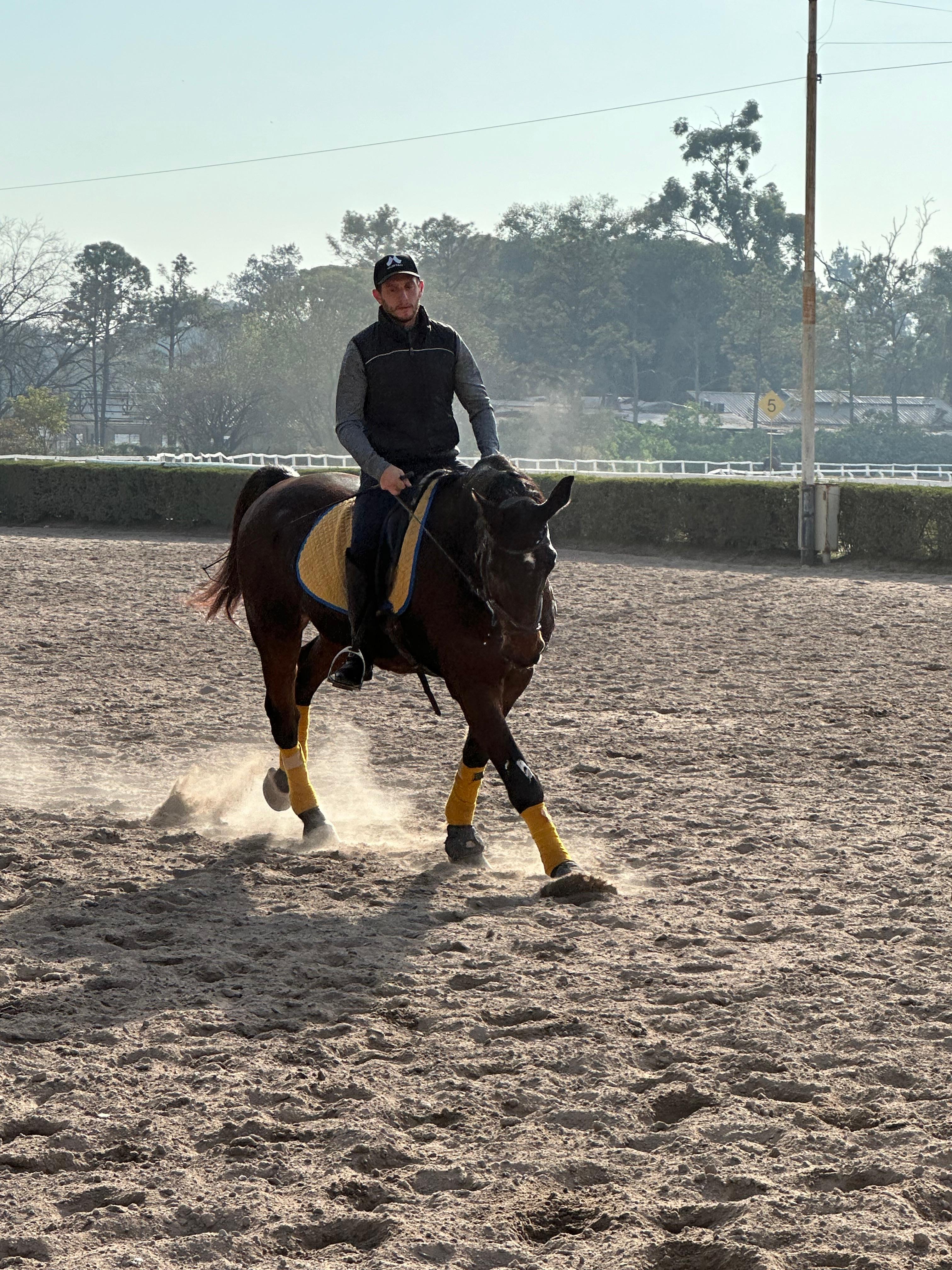 Luis Ezequiel Japaze