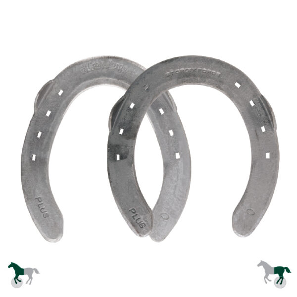 Eventer Plus - MDP/PDP