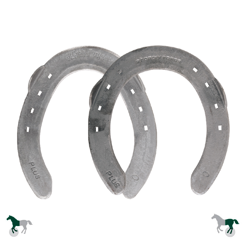 Eventer Plus - MDP/PDP