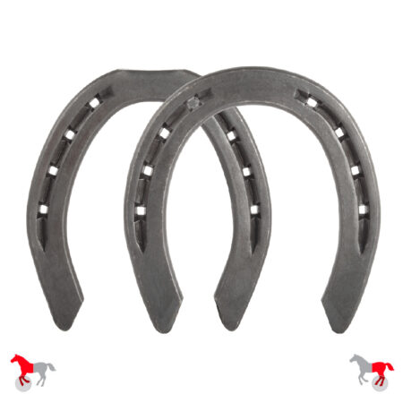 Lancero Criolla - ML/PP